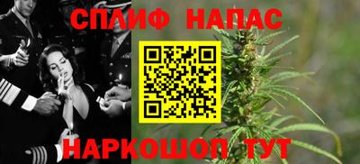 шишки Моздок