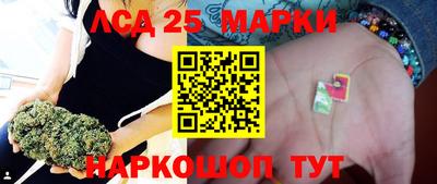 шишки Моздок