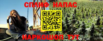 шишки Моздок