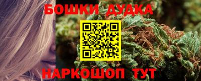 шишки Моздок