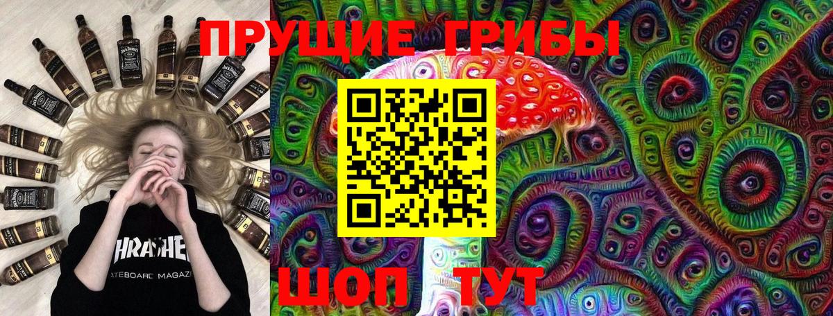 Псилоцибиновые грибы GOLDEN TEACHER  Вход с VPN  Глазов 